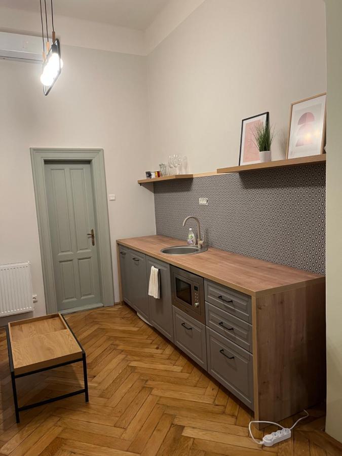 Barty Downtown Apart 1 ティミショアラ エクステリア 写真